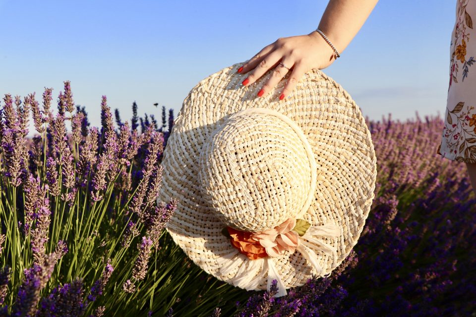 Provenza per la fioritura della lavanda