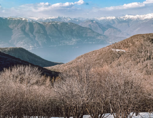 trekking panoramico sul Lago Maggiore