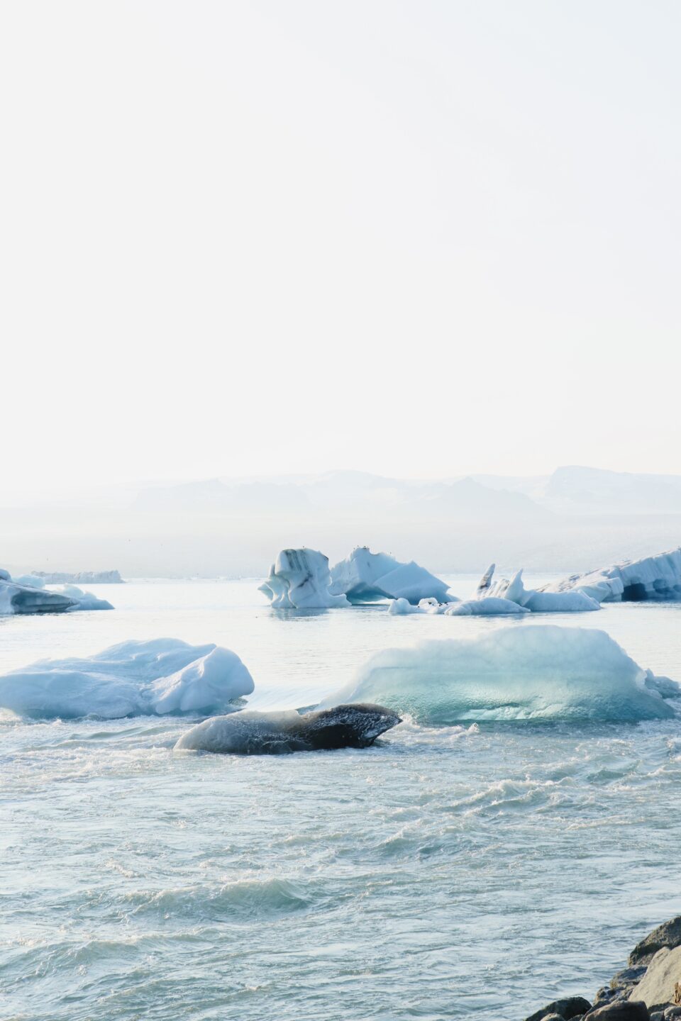 Escursioni nella Laguna di Jökulsárlón: quale scegliere