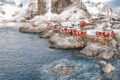 itinerario invernale alle isole Lofoten