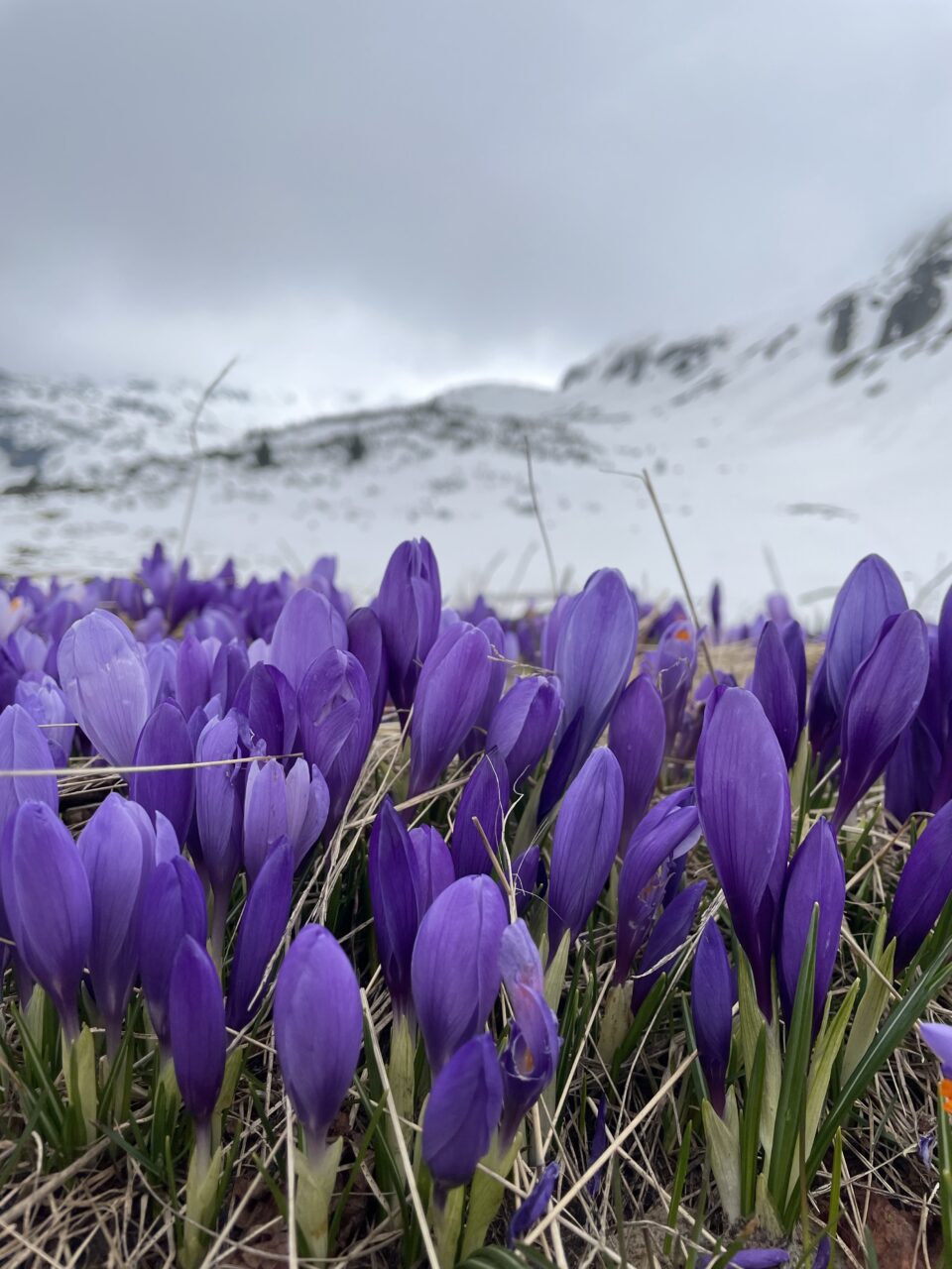 escursione ai laghi di Rila da Sofia 