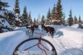 itinerario in Lapponia finlandese