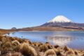 Itinerario nel Cile del nord